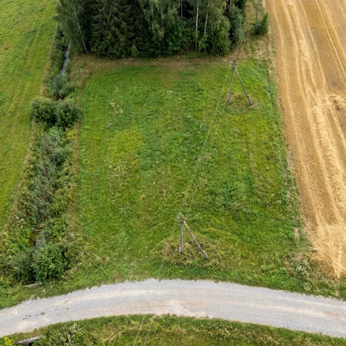 Iliustracija: žemės sklypas prie miško iš viršaus